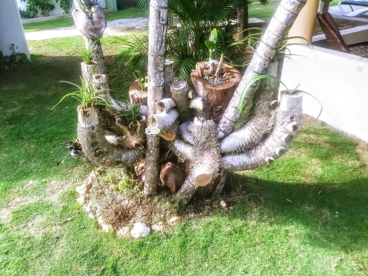 El Conde Del Macao Apartment Punta Cana